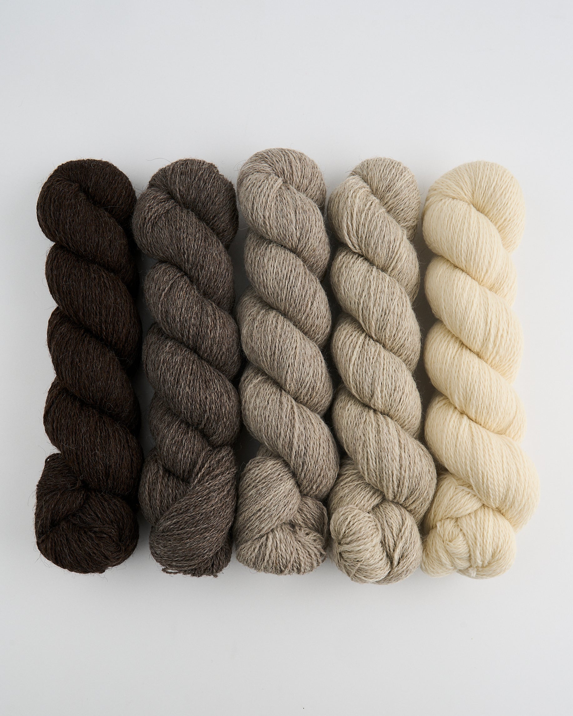 British Wool Ombre