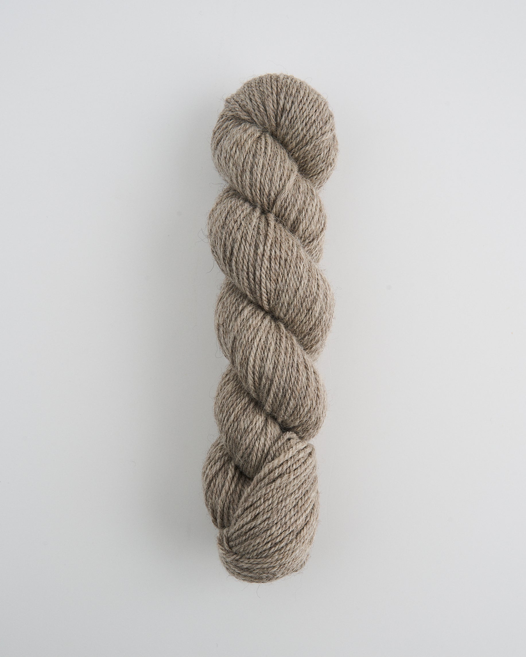 Bluefaced Leicester and Masham Aran