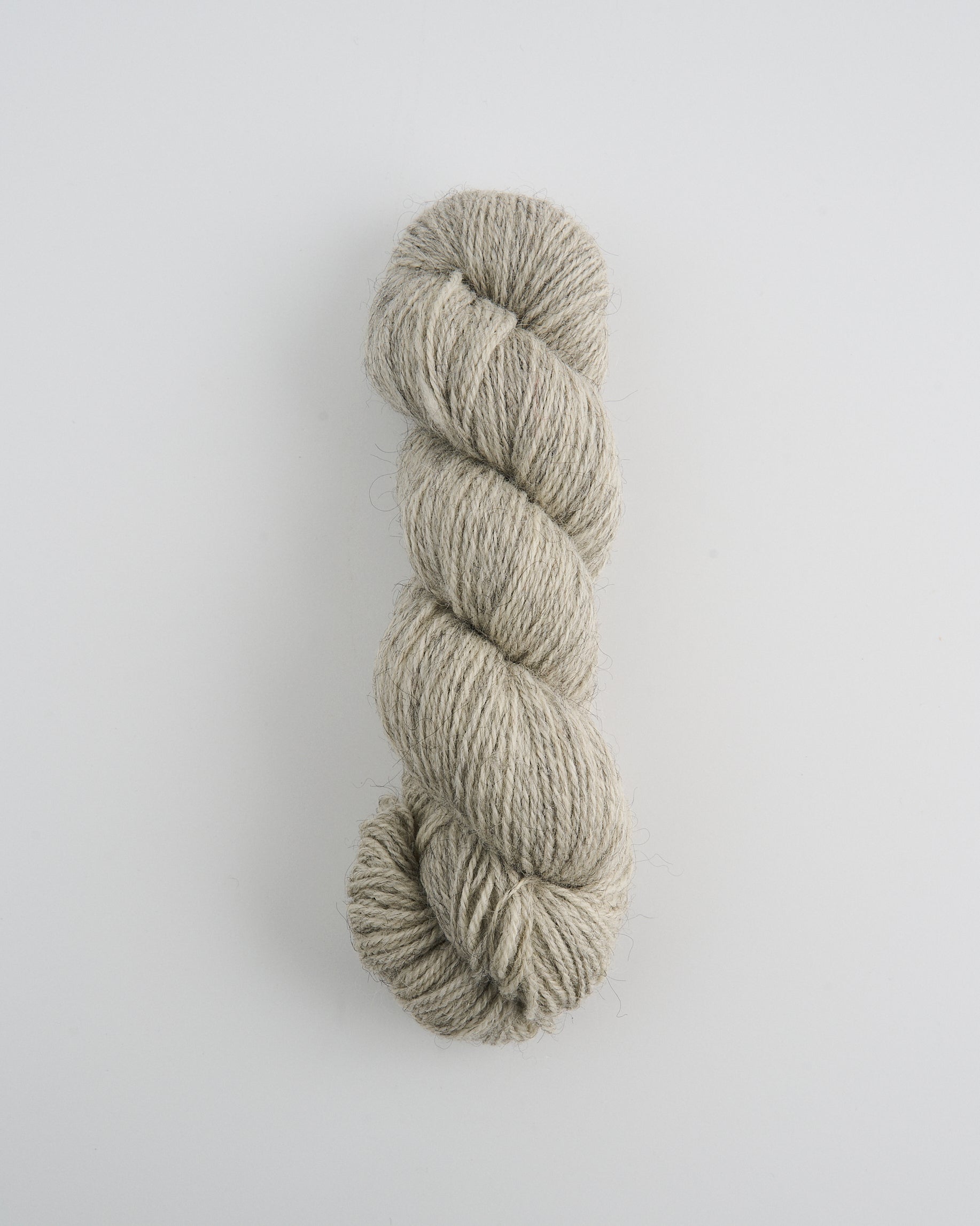 Bluefaced Leicester Gotland DK