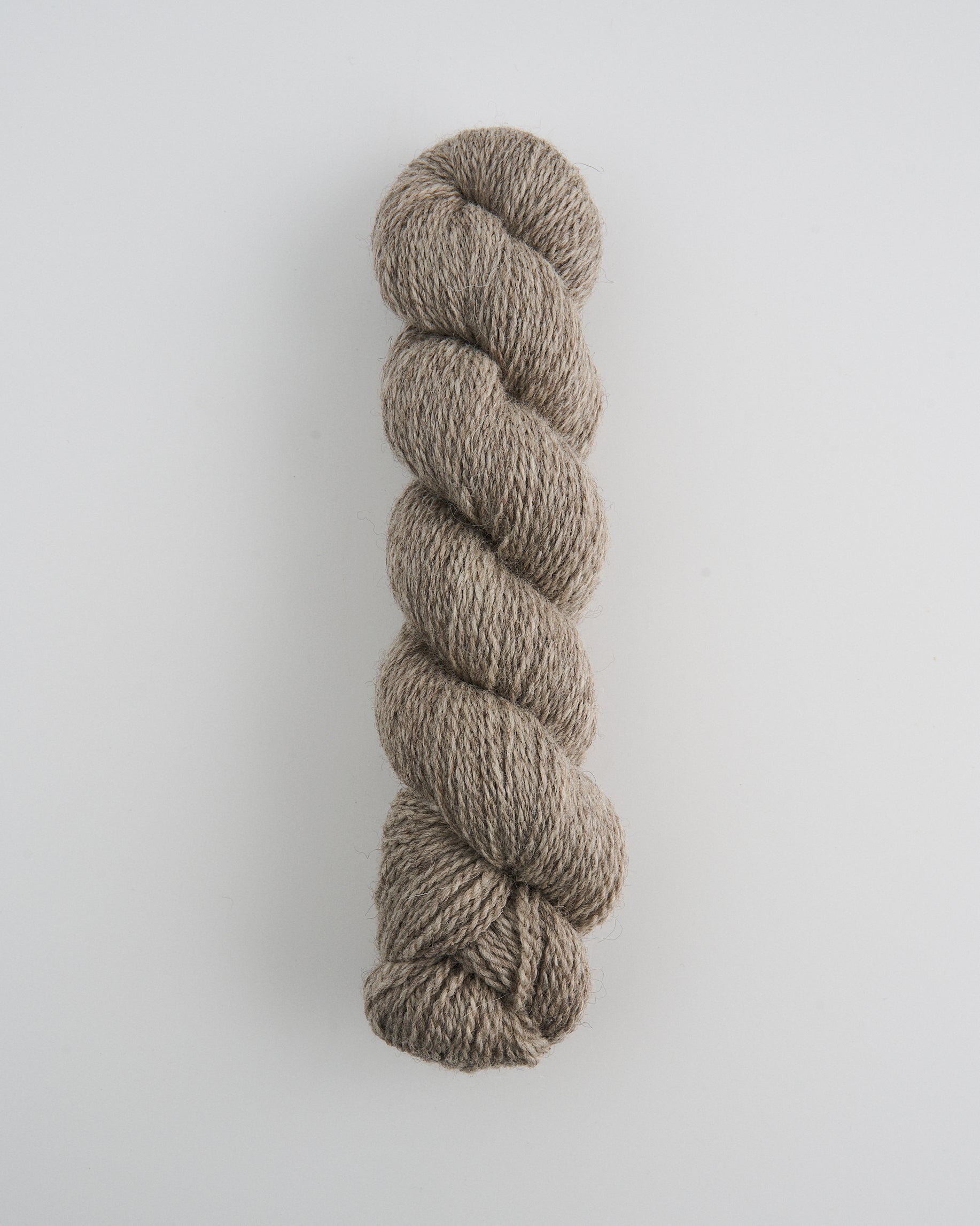 Bluefaced Leicester and Masham DK